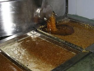 brana jana 02