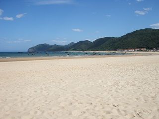 las olas 2011 07 002