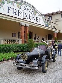 freixenet cava 001