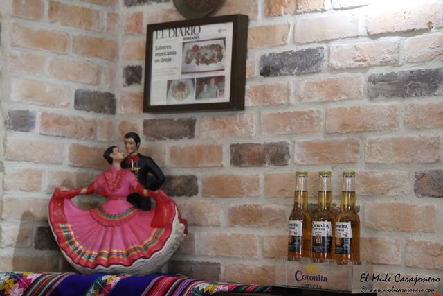 2014 09 agave azul 002