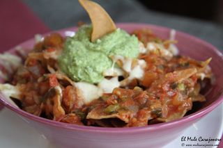 2014 09 agave azul 004
