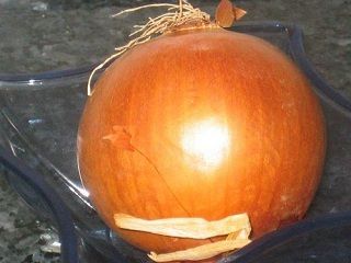 cebolla 001