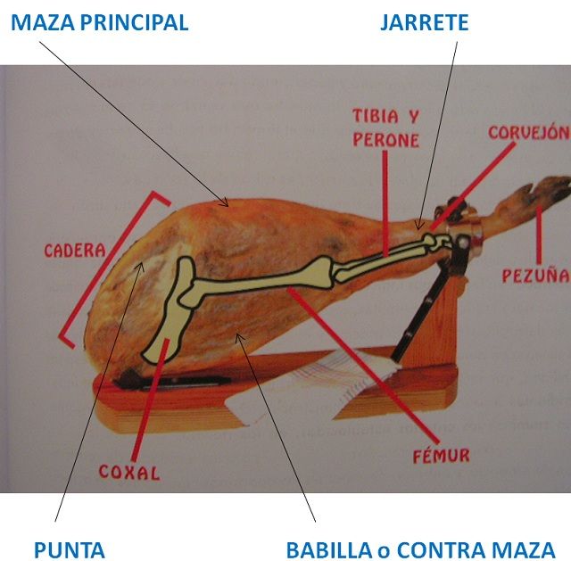 partes jamon 2012