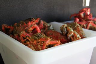 2012 03 cata sambal 026