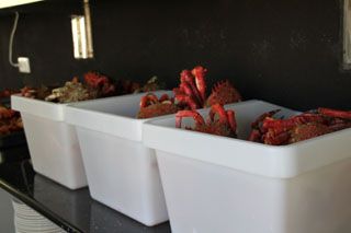 2012 03 cata sambal 027