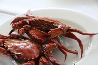 2012 03 cata sambal 040