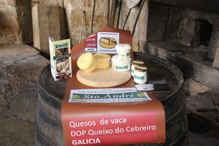bodegon sto andre 002