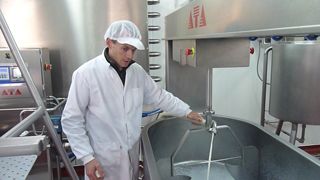 elaborando sto andre 001