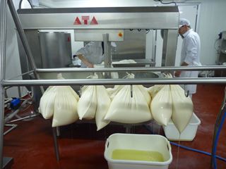 elaborando sto andre 002