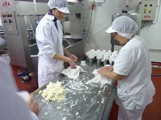 elaborando sto andre 001