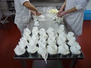 elaborando sto andre 002