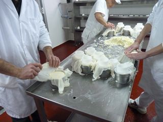 elaborando sto andre 001