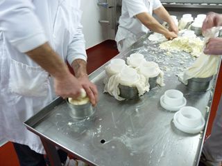 elaborando sto andre 002
