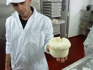 elaborando sto andre 002
