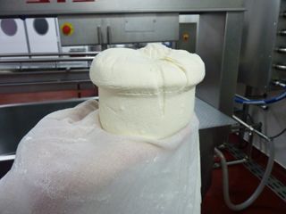 elaborando sto andre 001