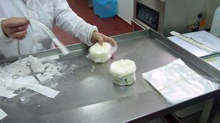elaborando sto andre 001