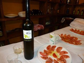 pata P1080763