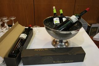 15 IMG 3096