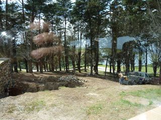 2012 06 remedio 003