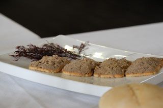 mijedo roca comer  003