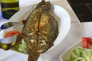 mijedo roca comer  004