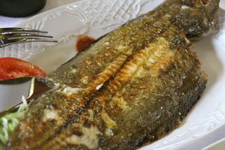 mijedo roca comer  005