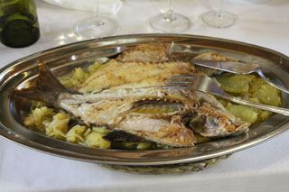 mijedo roca comer  004