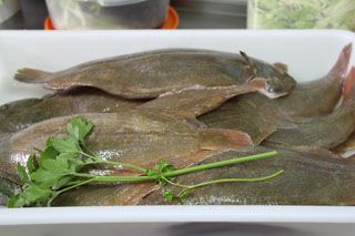mijedo roca cook  002