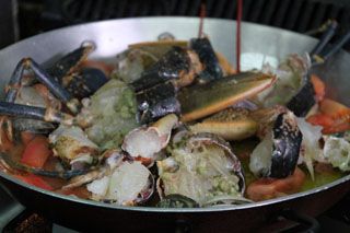 mijedo roca cook  002