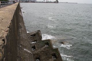 IMG 3907
