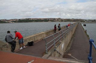 IMG 3921