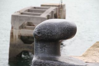 IMG 3928