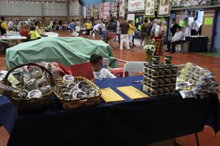 IMG 4561