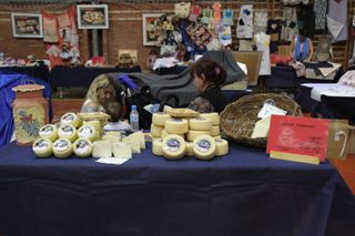 IMG 4565