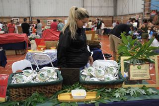 IMG 4567