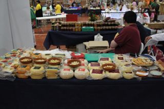 IMG 4572
