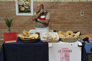 IMG 4580