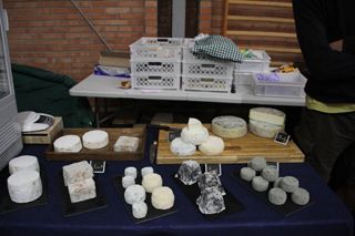 IMG 4581