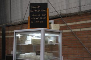 IMG 4582