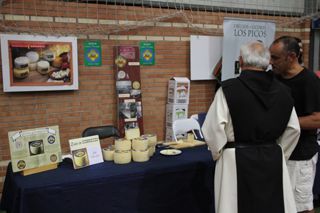 IMG 4602