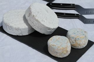 quesos 001