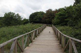 2012 cuca 004