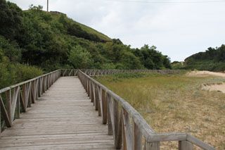 2012 cuca 005