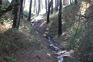 2012 cuca 016