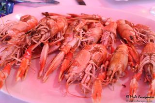 2014 08 galeon somo 002