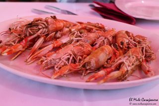 2014 08 galeon somo 003
