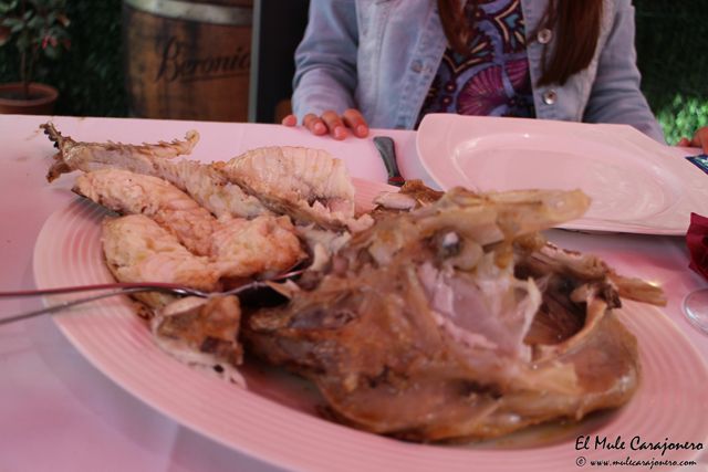 2014 08 galeon somo 022