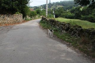IMG 5805