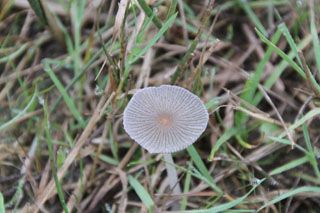 IMG 5833