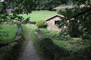 IMG 5848